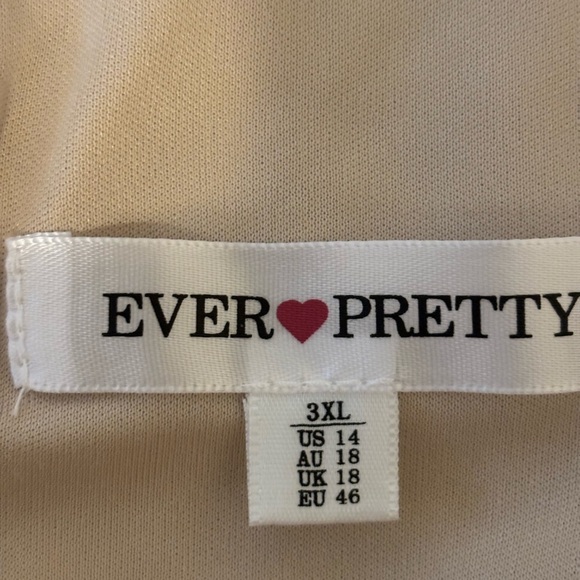 Ever Pretty Lace Midi Dress in Beige and Gold - Picture 2 of 9